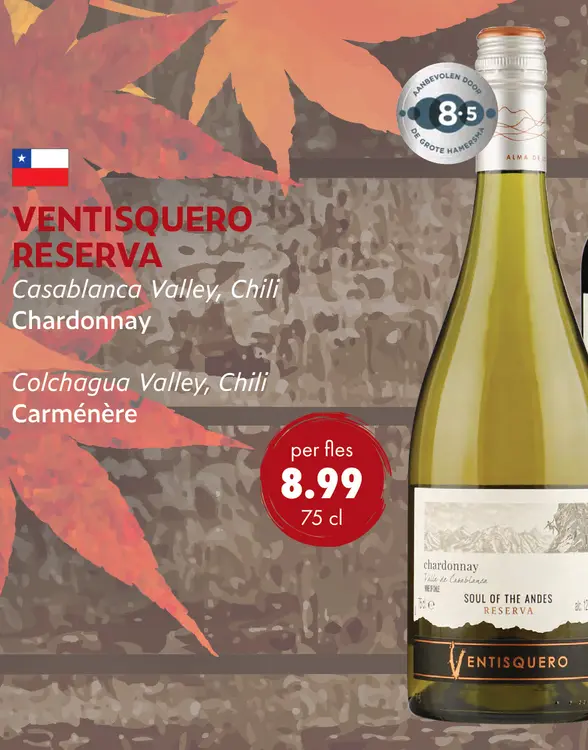 Aanbieding: Ventisquero Reserva