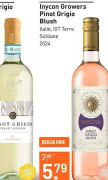 Aanbieding: Inycon Growers Pinot Grigio Blush