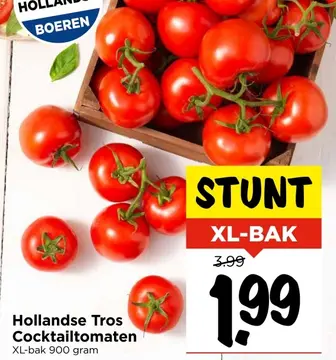 Aanbieding: Hollandse Tros Cocktailtomaten