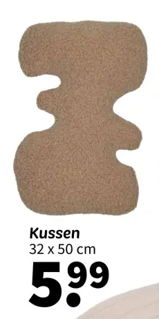 Promotie: Kussen
