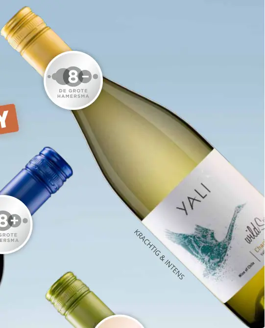 Aanbieding: Yali Wild Swan Chardonnay