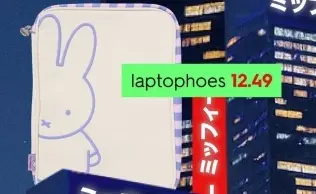 Aanbieding: laptophoes