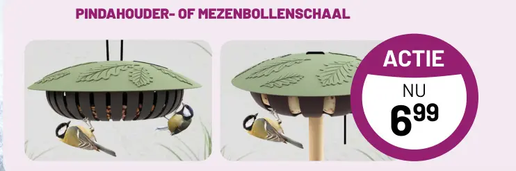 Aanbieding: Pindahouder- of mezenbollenschaal