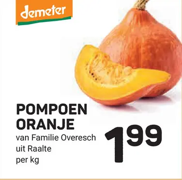 Aanbieding: Pompoen oranje