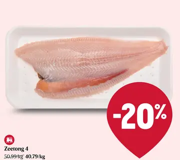 Aanbieding: Zeetong 4