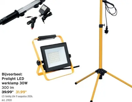 Promotie: LED werklamp