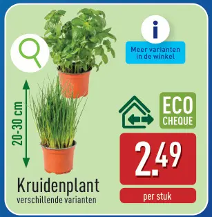 Promotie: Kruidenplant