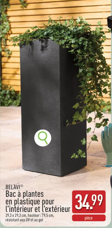 Offre: Bac à plantes