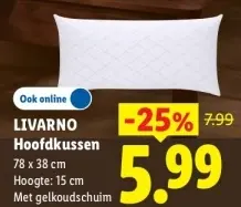Aanbieding: Hoofdkussen