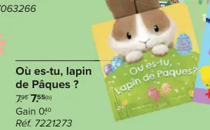 Offre: Où es-tu, lapin de Pâques ?