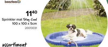 Aanbieding: Sprinkler mat Stay Cool