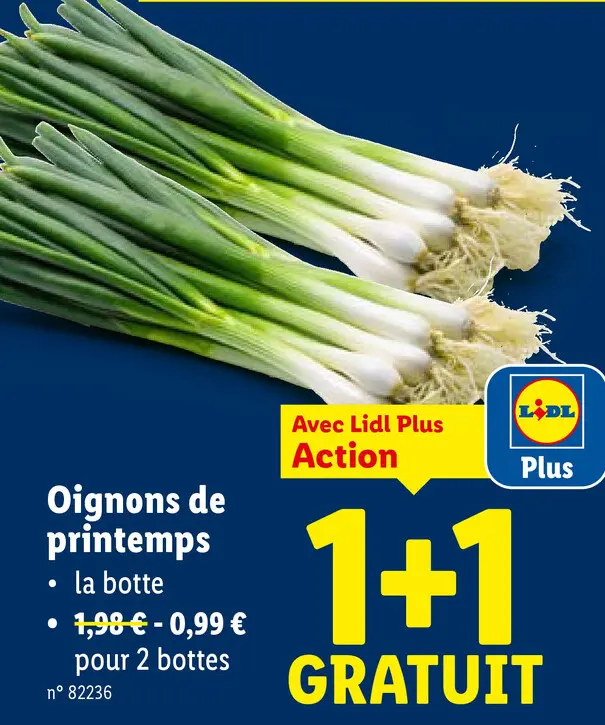 Offre: Oignons de printemps