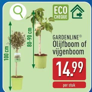 Promotie: Olijfboom of vijgenboom