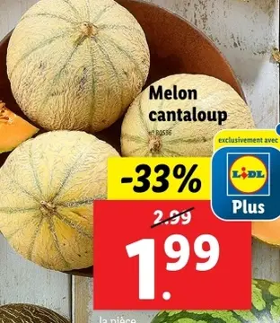 Offre: Melon cantaloup