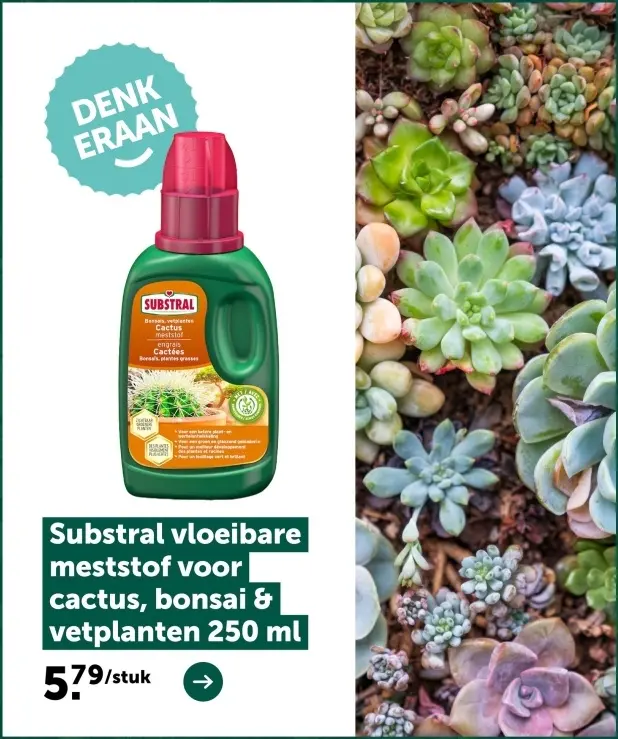 Promotie: vloeibare meststof voor cactus, bonsai & vetplanten
