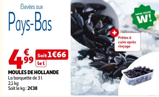 Offre: Moules de hollande