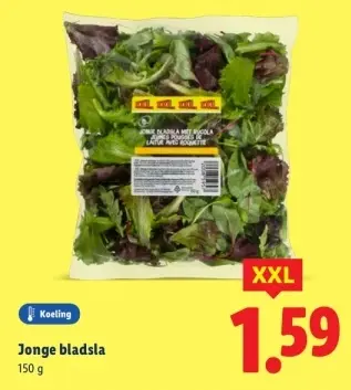 Aanbieding: Jonge bladsla