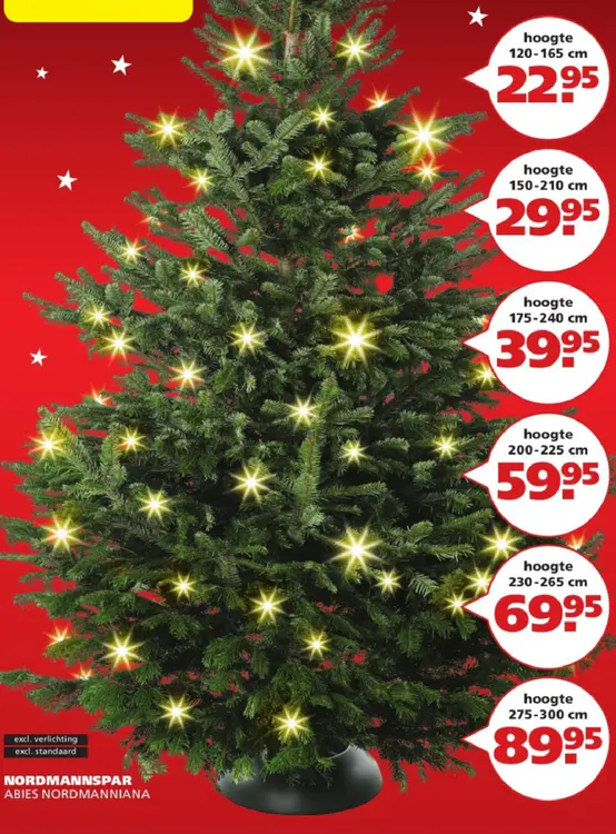 Aanbieding: Nordmannspar