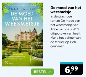 Aanbieding: De moed van het weesmeisje