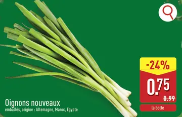 Offre: Oignons nouveaux