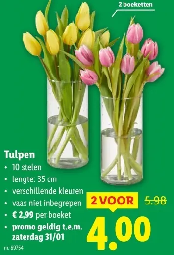 Promotie: Tulpen
