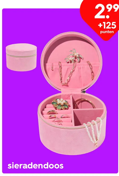 Promotie: sieradendoos
