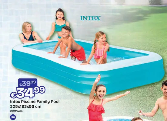 Offre: Intex Piscine Family Pool
