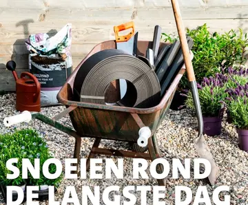 Aanbieding: Snoeien rond de langste dag