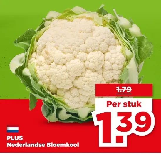 Nederlandse Bloemkool