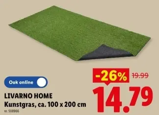 Promotie: Kunstgras
