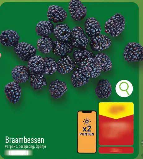 Promotie: Braambessen
