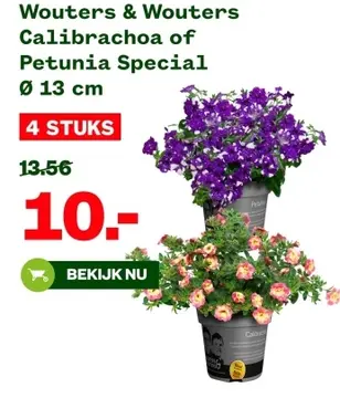 Aanbieding: Calibrachoa of Petunia Special