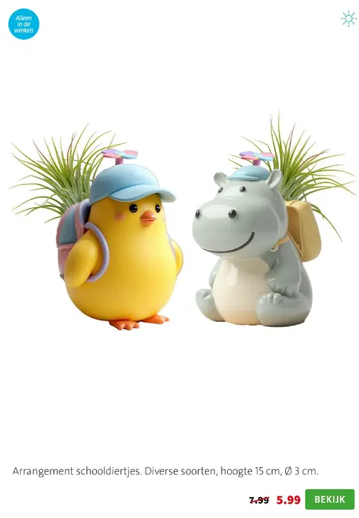 Aanbieding: Arrangement schooldiertjes