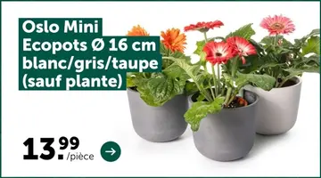 Offre: Oslo Mini Ecopots