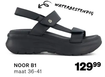 Aanbieding: NOOR B1