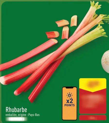 Offre: Rhubarbe
