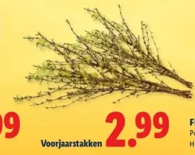 Aanbieding: Voorjaarstakken