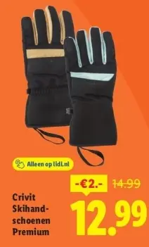 Aanbieding: Skihandschoenen Premium