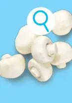 Promotie: Fijne champignons