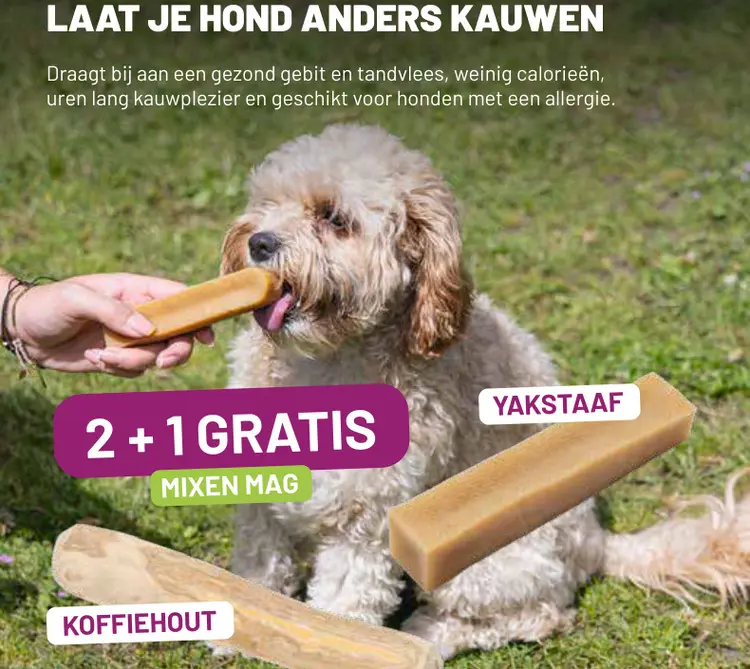 Aanbieding: Kauwstaven voor honden