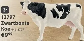 Aanbieding: Zwartbonte Koe