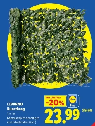 Aanbieding: Kunsthaag