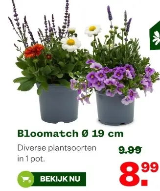 Aanbieding: Bloomatch