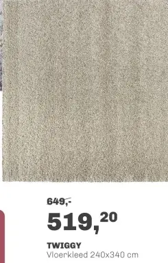 Aanbieding: Twiggy