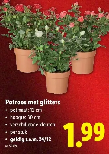 Promotie: Potroos met glitters