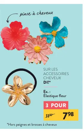 Offre: Accessoires Cheveux