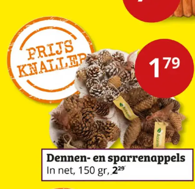 Aanbieding: Dennen- en sparrenappels