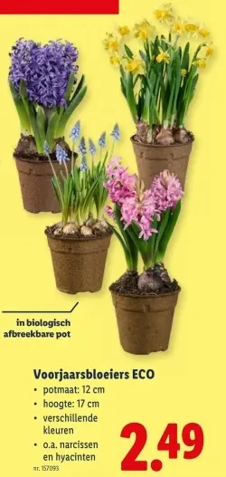 Promotie: Voorjaarsbloeiers ECO