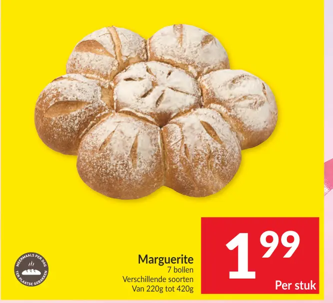 Promotie: Marguerite 7 bollen
