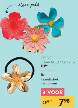Promotie: Haaraccessoires